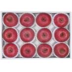 �Y�n�������Ε�M�t�g�@�_�C���ʉ��X���Y ���������