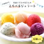 17種から選べる くだも