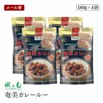 【メール便】風と光 奄美 カレールー 中辛 180g 4袋セット 6皿分 2個セット ガラムマサラパウダー付 スパイス カレー カレー粉 カレールー 香辛料