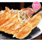 直送・ギフト 日時指定不可 「宇都宮餃子館」健太餃子 K5(81056) 沖縄・離島配送不可 同梱不可