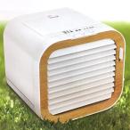 即日出荷 サクセスアジア USB卓上ミニ冷風扇 SB-GO3601-W ホワイト 卓上扇風機