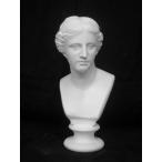 A-351miro остров venus . изображение ( маленький )