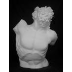 H-011lao кукуруза половина . изображение 