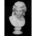 K-124 Aria s. изображение 