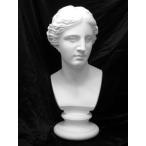 Ｋ−１６０　ミロ島ヴィーナス胸像（丸）