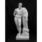 N-026 Hercules все тело изображение ( большой )