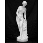 N-031 Falco ne произведение venus . изображение 