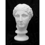 S-202 Pal te non шея изображение (la болт )