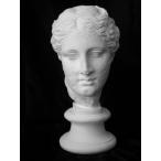 S-205 старый плата venus шея изображение (abata. venus )( Special )