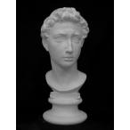 S-211.jorujo шея изображение 