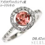 新品Pt950アメリカデトロイトシ...