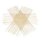  бамбук. .(Takenosei).. The ru98cm 15432