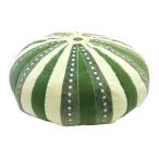 バフンウニクッション ぬいぐるみ 40cm