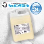 ショッピング洗濯洗剤 EM液体洗濯せっけん 5L 衣類用 洗濯洗剤 シャボン玉石けん 業務用 つめかえ お徳用 大容量