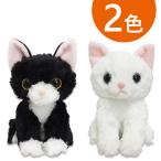 Yahoo! Yahoo!ショッピング(ヤフー ショッピング)猫 ぬいぐるみ いっしょがいいね 全2種 白猫 ハチワレ ねこ ふわふわ おもちゃ 可愛い シロネコ 男の子 女の子 誕生日 贈り物