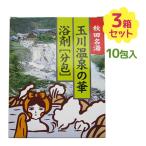 ショッピング入浴剤 入浴剤 玉川温泉の華 10g×10包入り 3個セット 小分け 分包 お風呂 バスグッズ バスソルト 温泉 お土産 硫黄の香り 秋田県