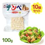 テンペ 100g 10個セット 発酵食品 ヘルシー 大豆ミート 糖質制限 大豆 タンパク質 置き換え 保存食 非常食 スーパーフード まとめ買い