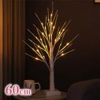 ツリーライト LED ブランチツリー 60cm 白樺 卓上 おしゃれ USB式 電池式 枝 木 クリスマス イルミネーション 飾り ミニサイズ