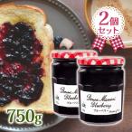 ボンヌママン ブルーベリージャム 果物配合率 44.8% 糖度_63 750g 2個セット