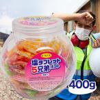 レクノス 塩タブレット 5兄弟 ポット 400g 約148粒 ブドウ糖 塩分 個包装 梅味 レモン味 ミックスフルーツ味 ピーチ味 グレープ味 ランドアート