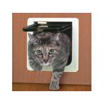 [ прямая поставка товар ] Uni поток кошка заслонка блокировка возможность type | кошка маленький размер собака домашнее животное дверь заслонка вход и выход DIY