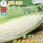  кукуруза утро .. кукуруза Shizuoka префектура Hamamatsu Royal meiz белый кукуруза 15шт.@.. кукуруза кукуруза 