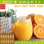 お中元 ギフト みかんジュース 三ケ日みかんジュース ストレート12本 送料無料 ギフト フルーツジュース 暑中見舞い 内祝い お誕生日祝い プレゼント 2025
