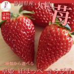  клубника прекрасное платье .. утро ... прекрасное платье ..450 грамм степень 2 упаковка всего 900g степень 18 шарик ~30 шарик входить Shizuoka высококлассный клубника подарок бесплатная доставка 