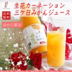 母の日 生花カーネーション みかん�