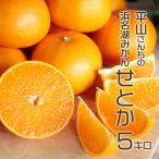 ショッピングせとか せとか 5kg Mサイズ 静岡県浜松市 奥浜名湖 ハウス栽培 みかん せとか 送料無料