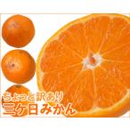 ショッピング格安 訳あり三ケ日みかん 青島 4kg プラス1kgサービスで合計5kg