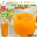 みかんジュースストレートパウチ10...