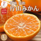 みかん 10kg くさかさんの片山みかん Lサイズ 10kg　静岡県浜松 送料無料