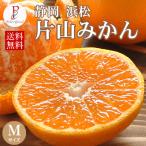みかん 10kg 片山みかん くさかさんの片山みかん Mサイズ 10kg 静岡県浜松 送料無料 12/19初出荷