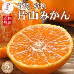 くさかさんの片山みかん Sサイズ 10kg 静岡県浜松 送料無料 12/19初出荷