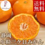  есть перевод маленький шарик три ke день мандарин синий остров 5kg бесплатная доставка 