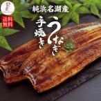 ショッピングうなぎ 父の日 うなぎ 国産 蒲焼き 2尾 浜名湖産うなぎの蒲焼 手焼き鰻 送料無料 海鮮 鰻 ギフト 食べ物 内祝い 誕生日 お祝い お取り寄せ グルメ セット お年賀 寒中見舞い