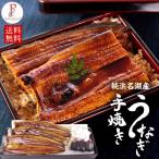 ショッピング父の日 うなぎ うなぎ 国産 蒲焼き 3尾 浜名湖産うなぎの蒲焼 手焼き鰻 送料無料 海鮮 鰻 ギフト 食べ物 内祝い 誕生日 お祝い お取り寄せ グルメ セット お年賀 寒中見舞い