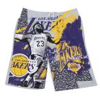 NBA レブロン・ジェームズ レイカーズ ショートパンツ/ショーツ LeBron Graphic Short UNK グレー