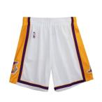NBA Ray The Cars шорты swing man шорты 2009-10 Mitchell &nes/Mitchell &amp; Ness белый 