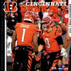 NFL Ben garuz календарь 2024 Team орнамент Wall Calendar Turner