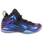 チャールズ・バークレー チャック ポジット バッシュ/シューズ CHUCK POSITE ナイキ/Nike ケーブパープル 684758-500 レアアイテム