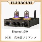 PJ.MAOLAI [A2] вакуумная трубка предусилитель HiFi Bluetooth5.0