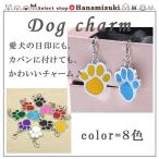 Yahoo! Yahoo!ショッピング(ヤフー ショッピング)【犬用 チャーム】 ペット用 アクセサリー かわいい