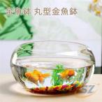  стол 20cm 25cm 30cm круглый аквариум круглый круглый аквариум аквариум маленький размер аквариум разведение аквариум стекло me Dakar горшок zonchi-me Dakar прозрачный декоративное растение большая вместимость модный аквариум миска вода .
