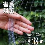 25mm. глаз маленький глаз .. лист .. сеть птица .. сеть голубь .. веранда птица избежать nezonchi-to...... древесный уголь сеть ширина 5m× длина фруктовое дерево . задний овощи культивирование кошка . входить 