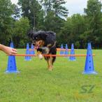  собака Agility тренировка собака для товары для домашних животных выход для помещений кукуруза paul (pole) shemhen комплект Agility Jump балка бег с препятствиями собака препятствие предмет .