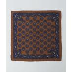 SHIPS / Ships NOMARHYTHM TEXTILE: PAISLEY SILK BANDANA SCARF