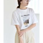 SHIPS / シップス ANGE IN DISGUISE:〈手洗い可能〉コットン フォト & ロゴ TEE 26SS