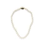 human woman / ヒューマンウーマン [店舗限定販売]Quatorze ／ ウッドパールネックレス